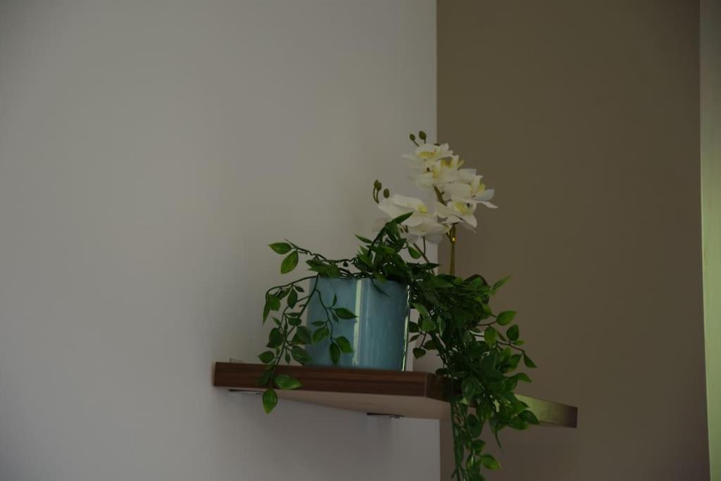 Ferienwohnung Elegant T2 A Bron, Tramway A 2Min, Box Parking, 4Personnes Exterior foto